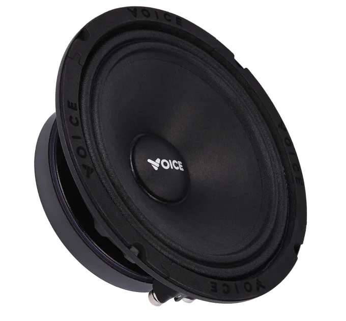 Эстрадная акустика Voice SP-65 SQL